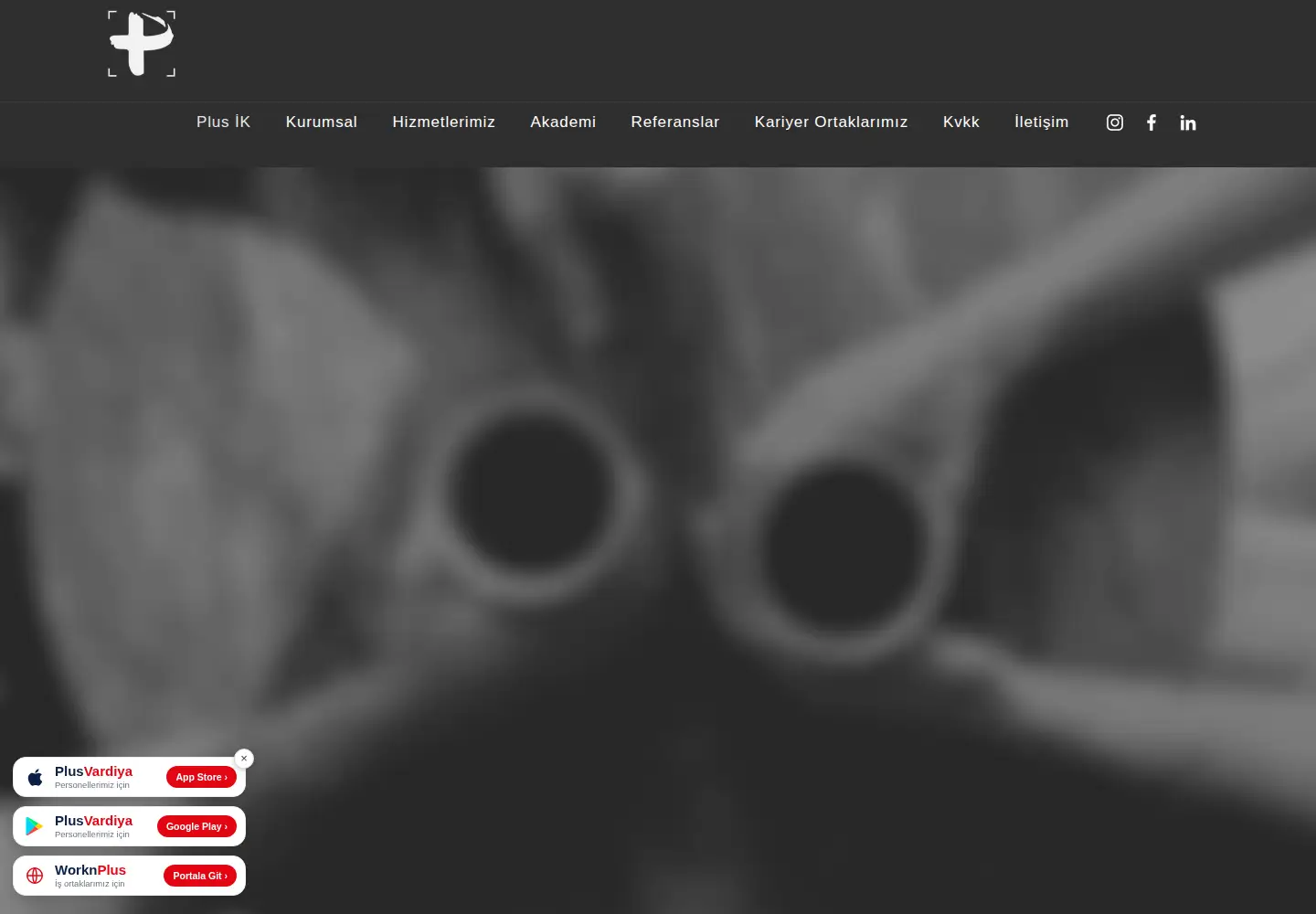 Screenshot of plusinsankaynaklari.com