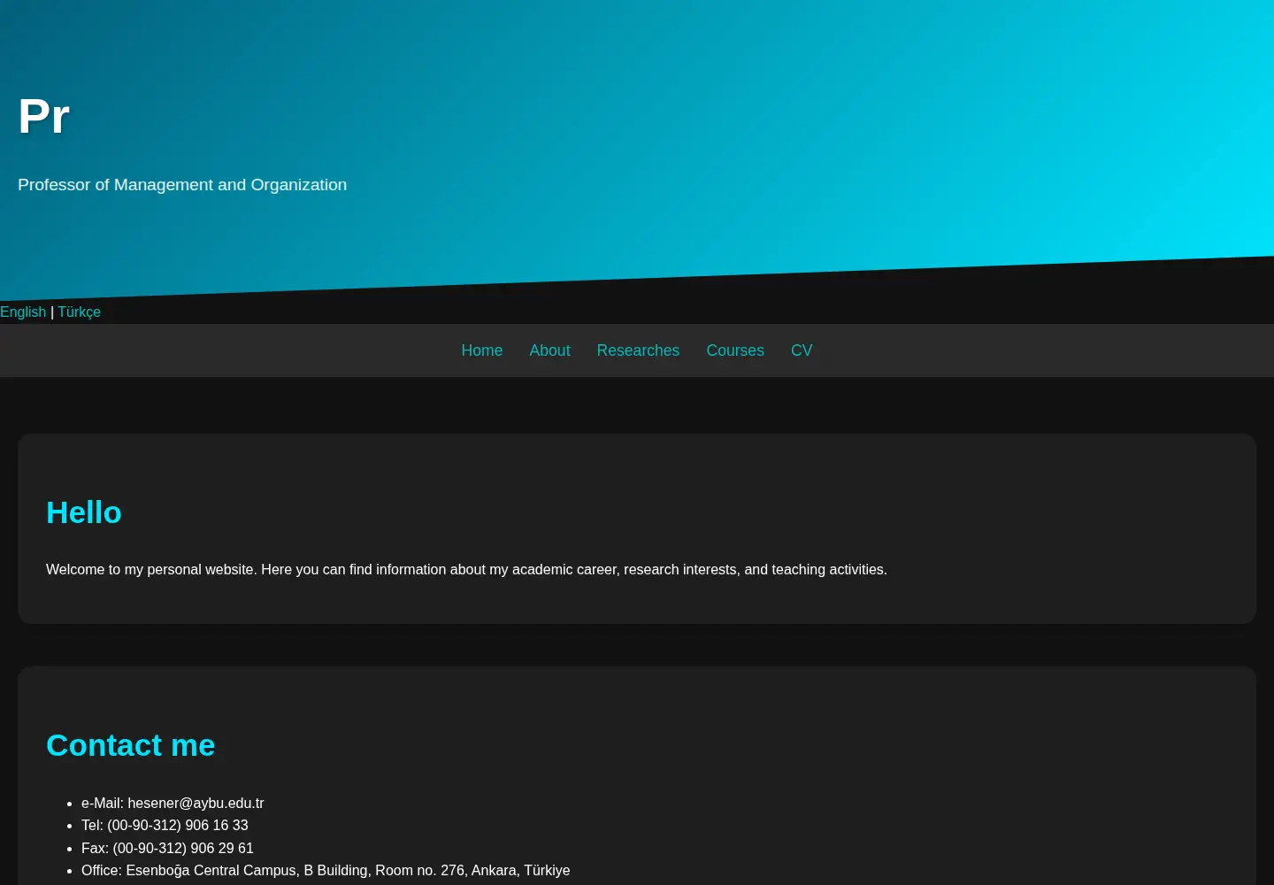 Captured homepage of enginsener.com in the current scan