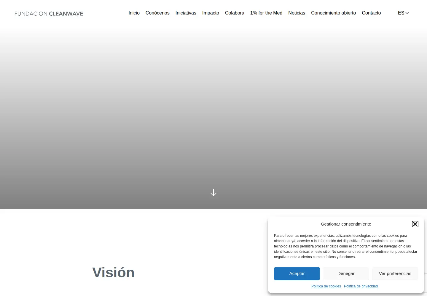 Captured homepage of cleanwavefoundation.org in the current scan