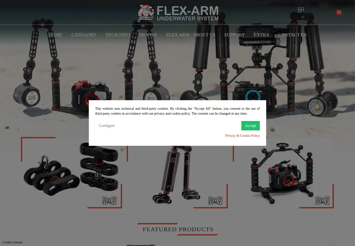 Screenshot of flex-arm.com