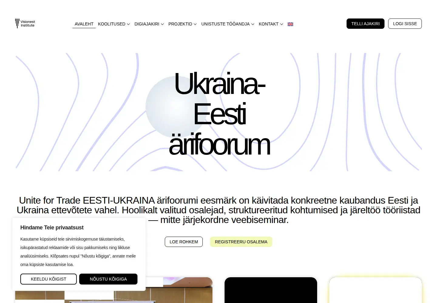 Captured homepage of visionest.institute in the current scan
