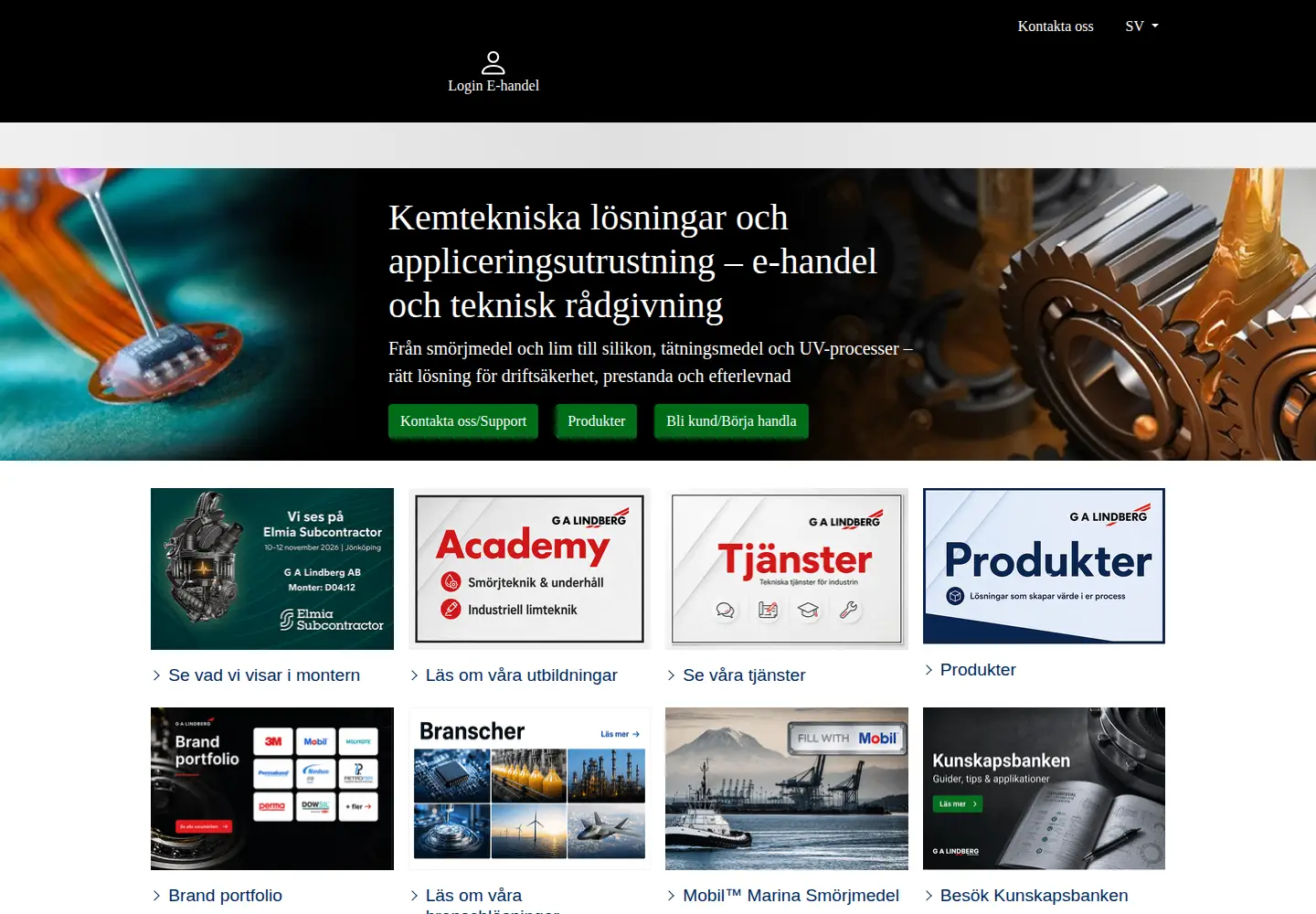 Captured homepage of galindberg.se in the current scan