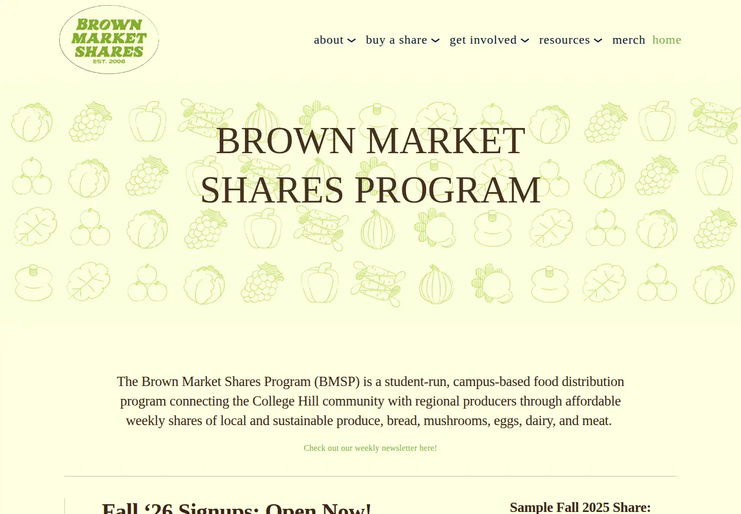 Captured homepage of brownmarketshares.com in the current scan