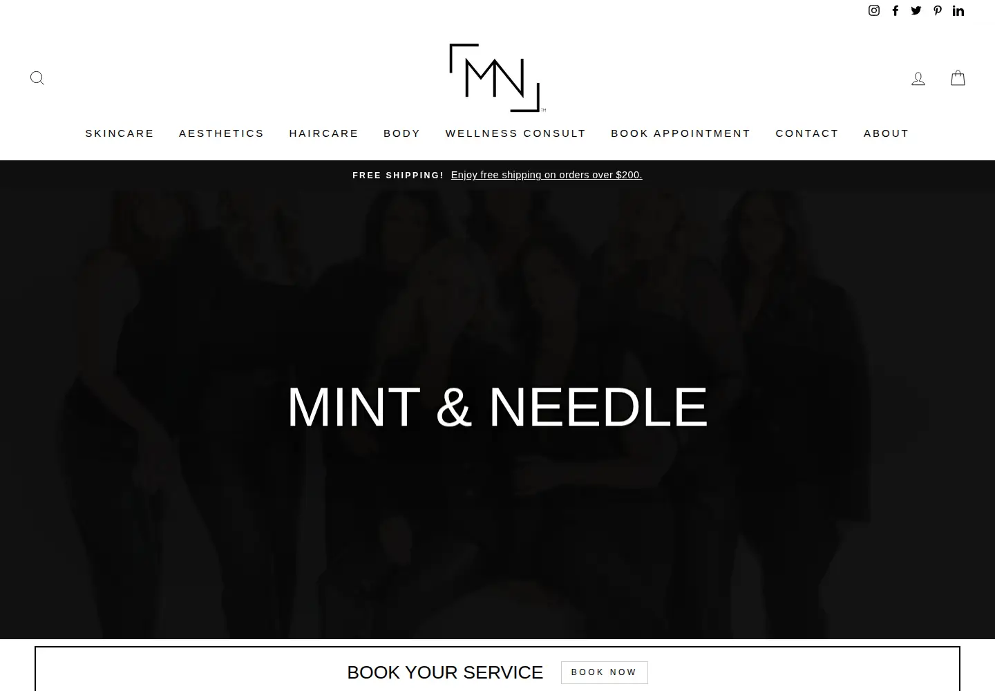 Screenshot of mintandneedle.com