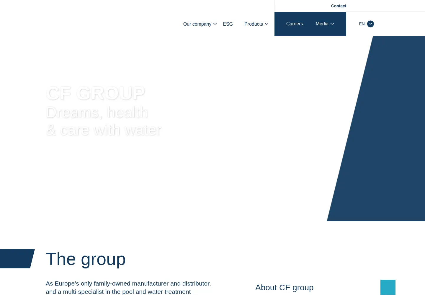 Screenshot of cf.group