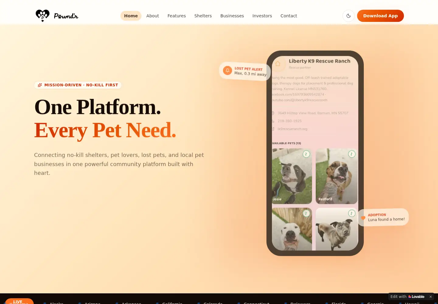 Captured homepage of pawndrapp.info in the current scan