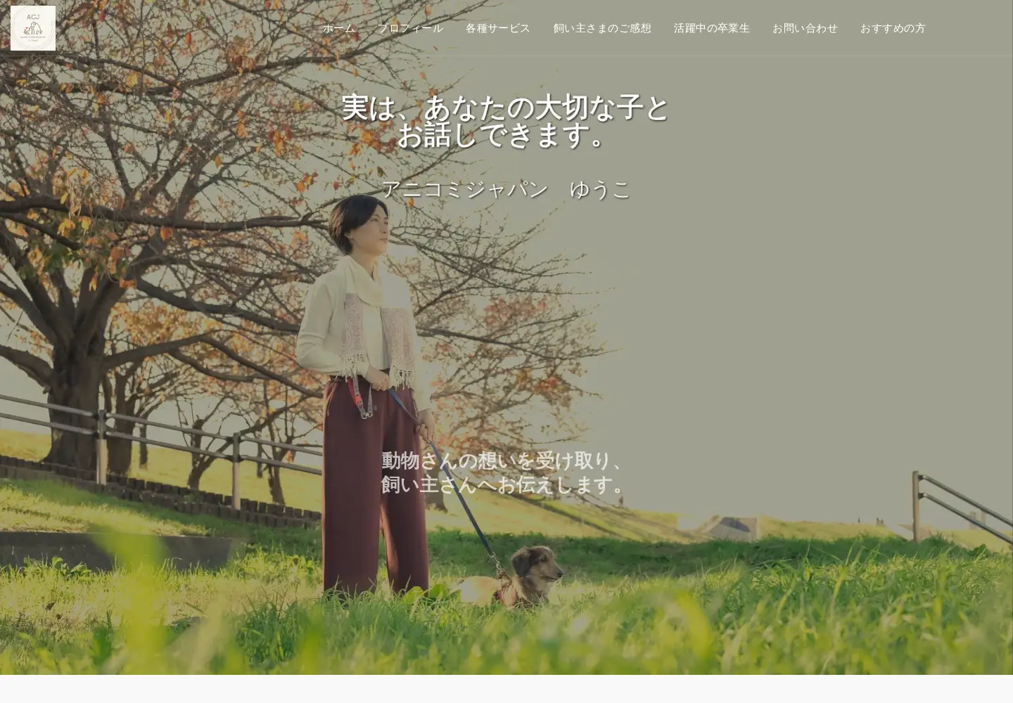 Screenshot of anicomi-japan.jp