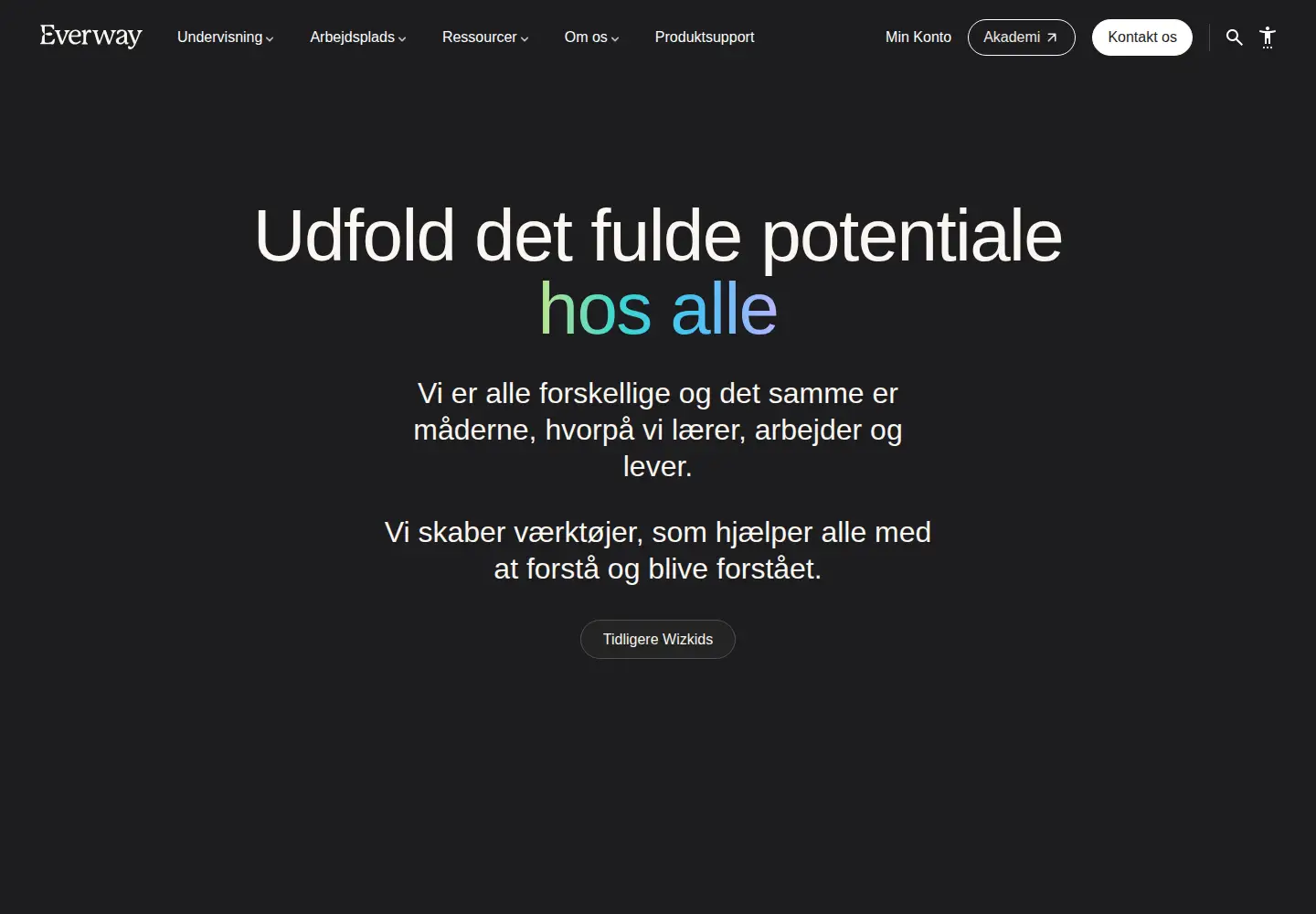 Screenshot of wizkids.dk