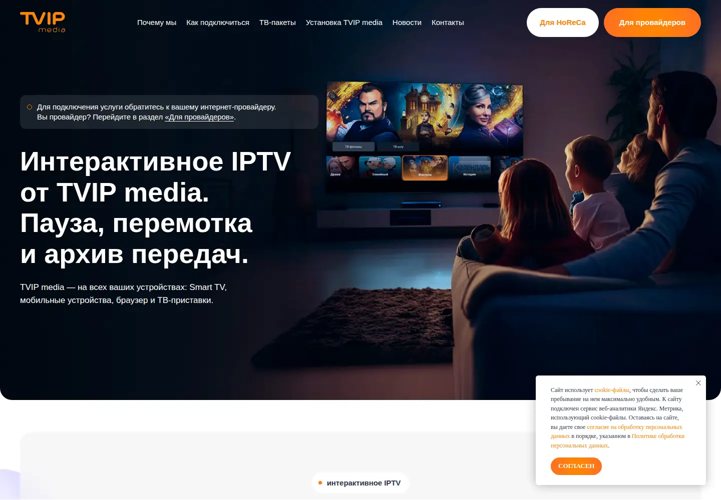 Captured homepage of tvipmedia.ru in the current scan