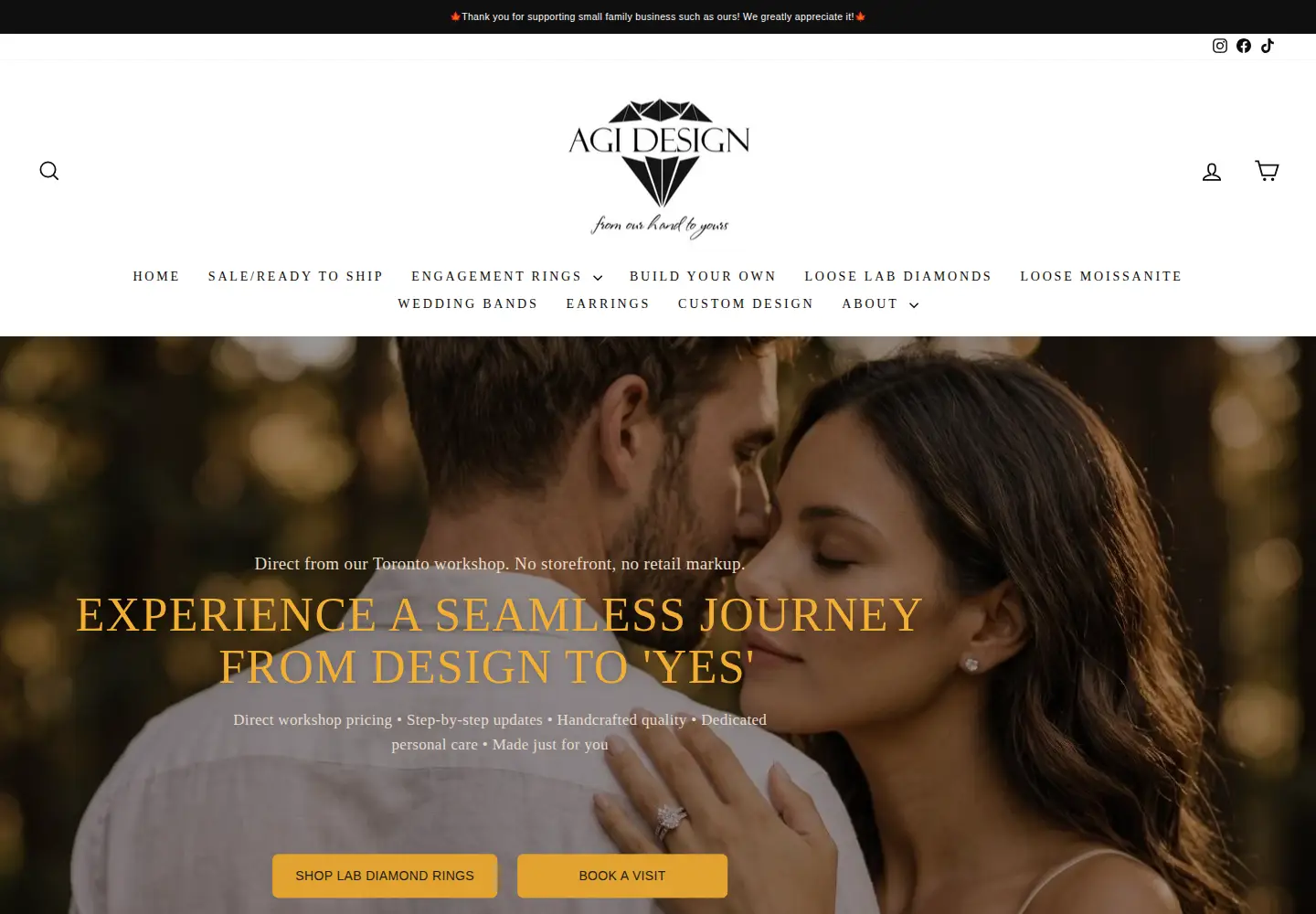 Captured homepage of agidesign.ca in the current scan