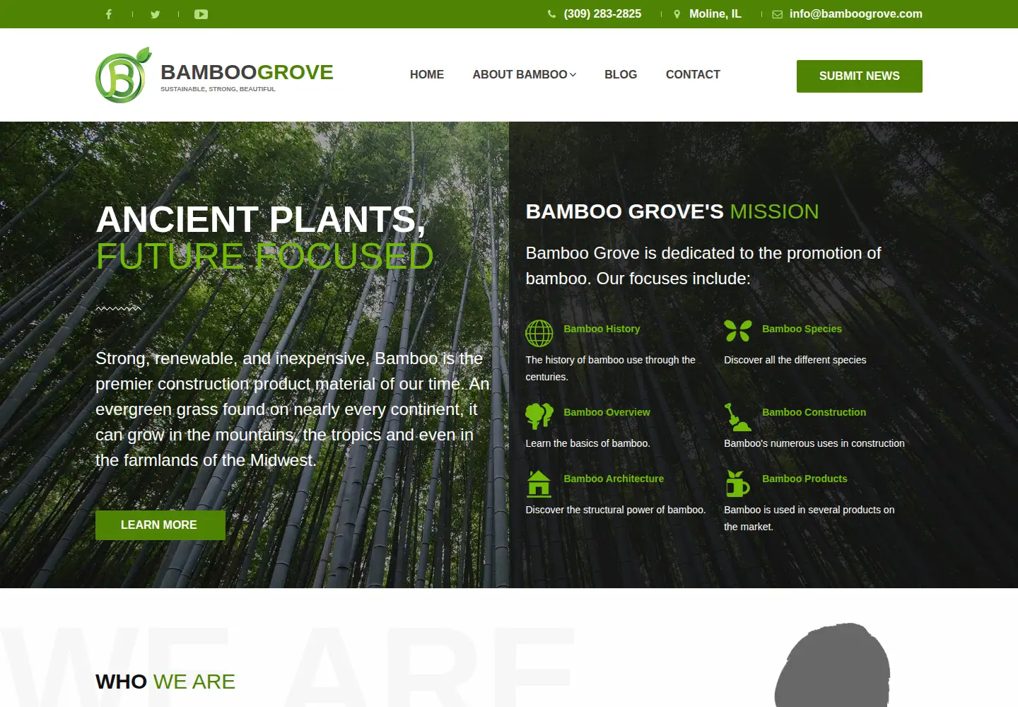 Captured homepage of bamboogrove.com in the current scan