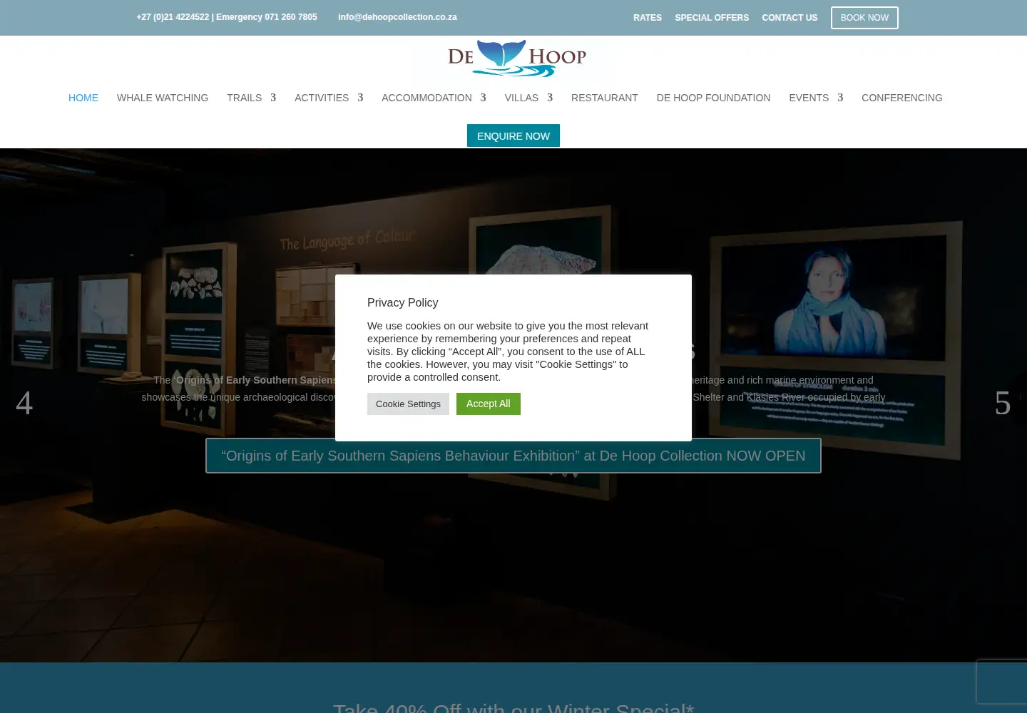 Screenshot of dehoopcollection.com