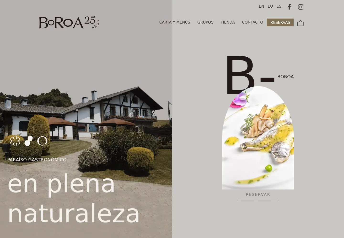 Captured homepage of boroa.com in the current scan