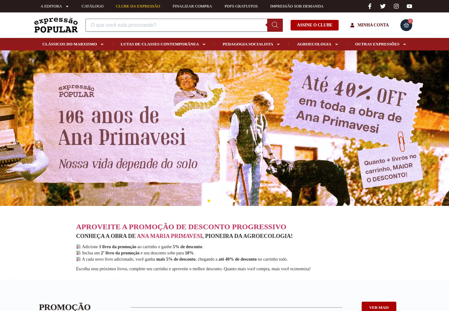 Captured homepage of expressaopopular.com.br in the current scan