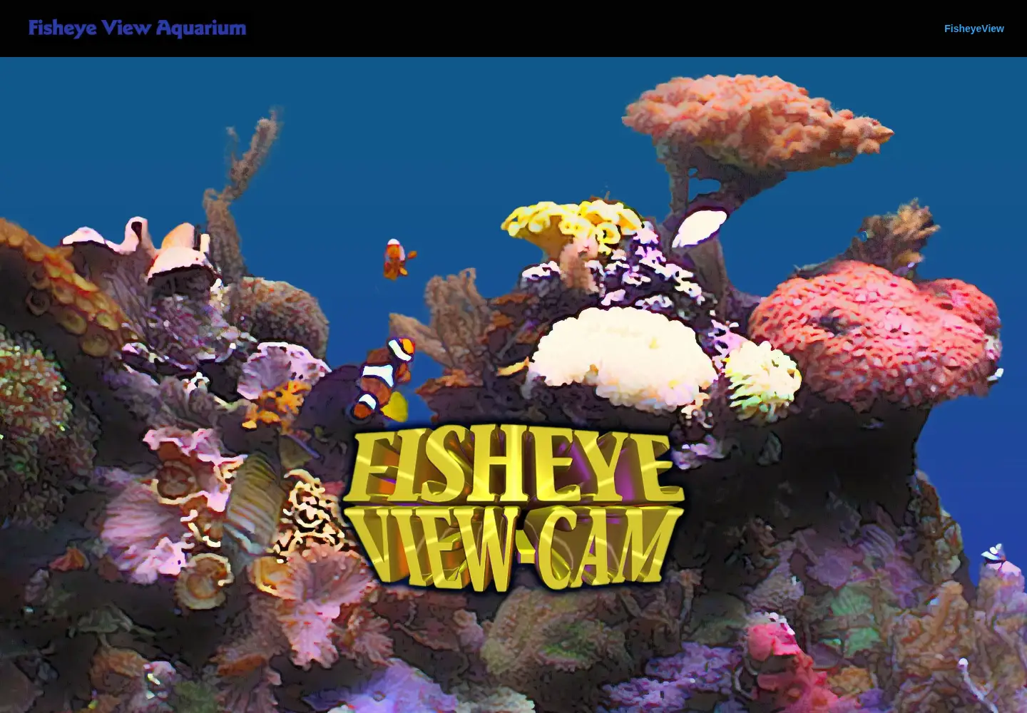 Screenshot of fisheyeview.com