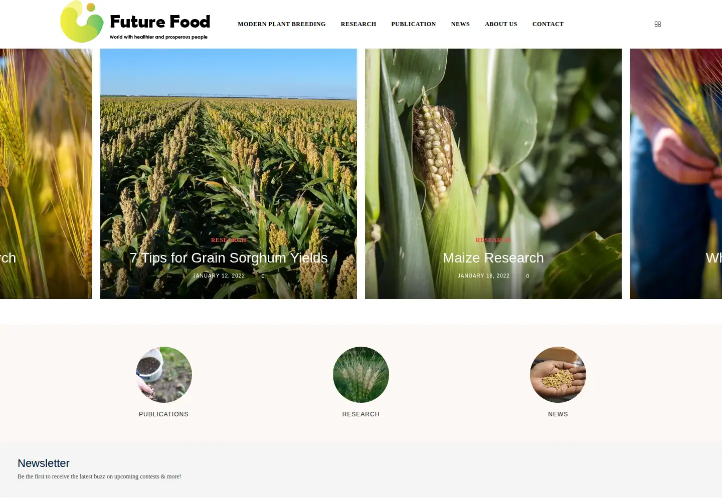 Screenshot of chromatininc.com