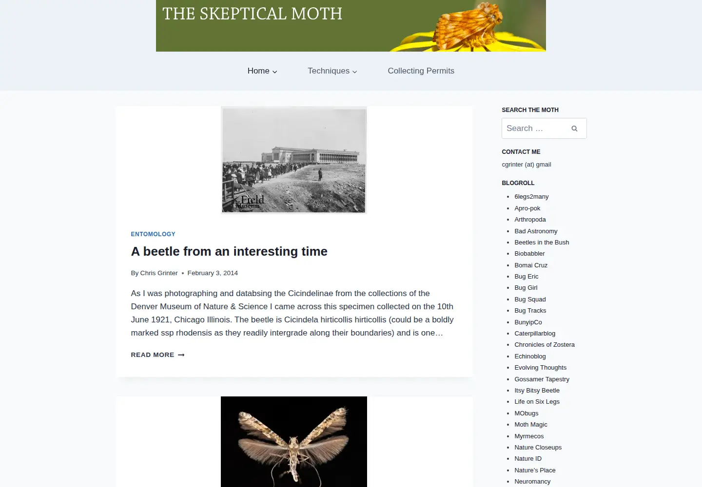 Screenshot of theskepticalmoth.com