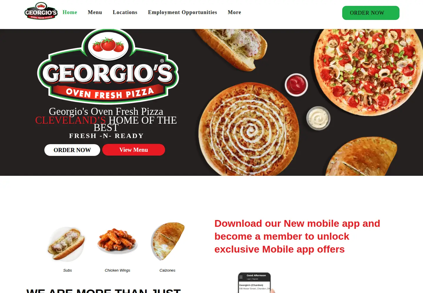 Captured homepage of georgiosofp.com in the current scan