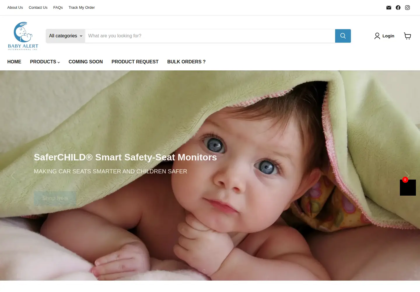 Captured homepage of babyalert.info in the current scan