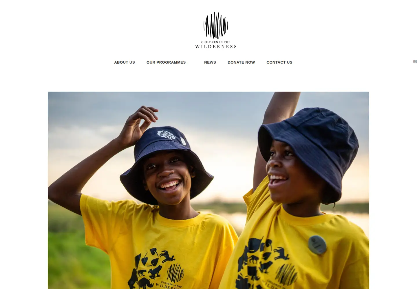 Captured homepage of childreninthewilderness.com in the current scan