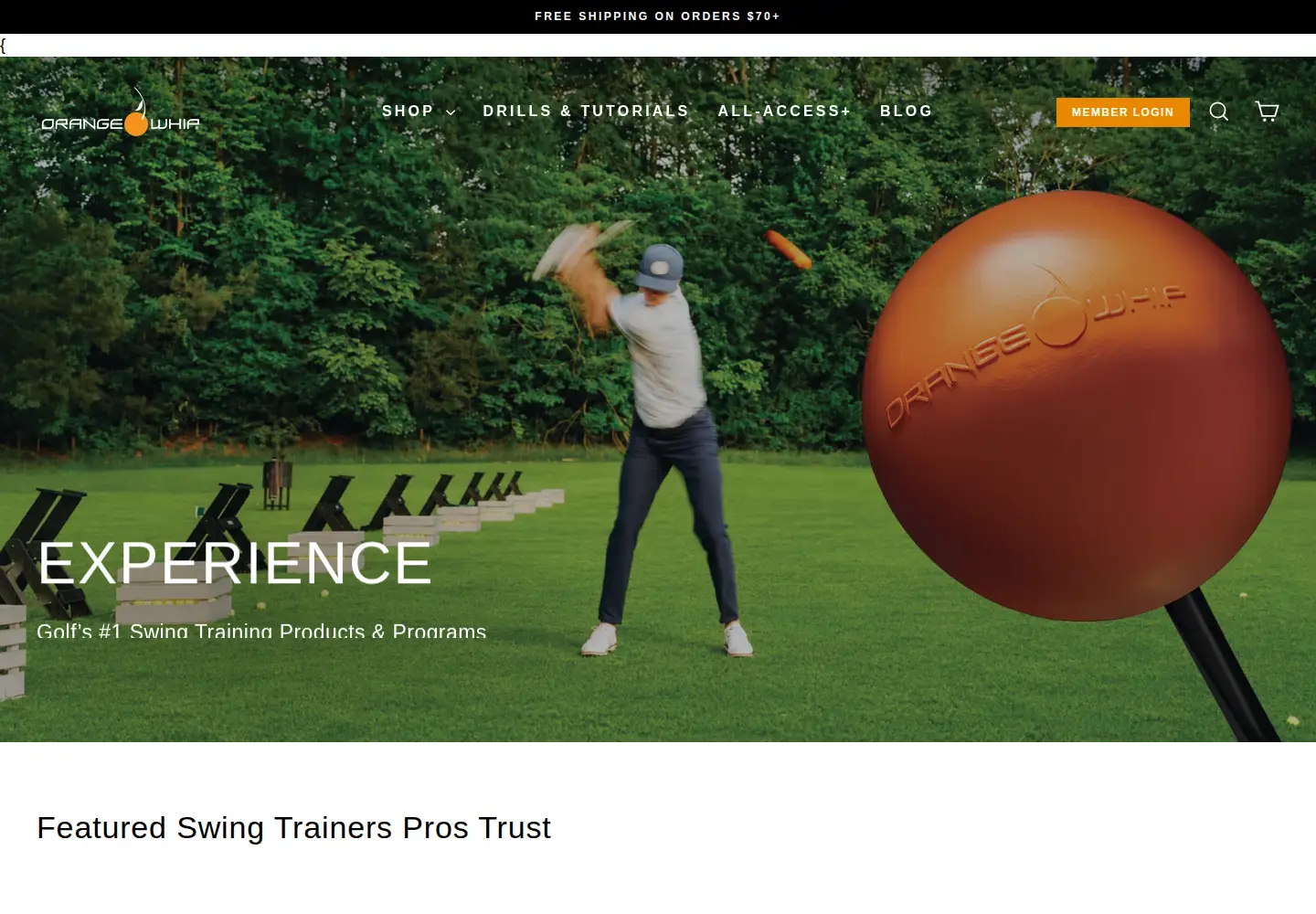 Screenshot of orangewhipgolf.com