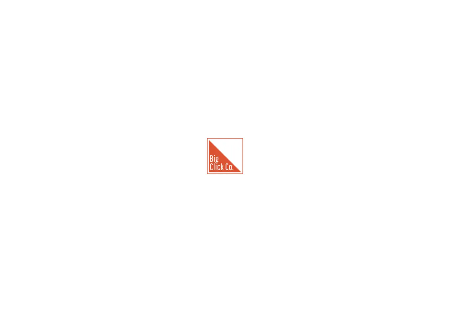 Captured homepage of bigclickco.com in the current scan