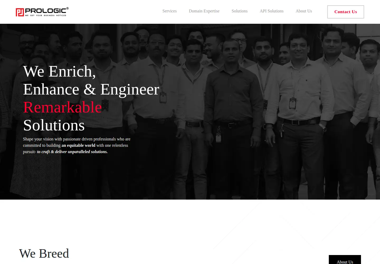Screenshot of prologicwebsolutions.com