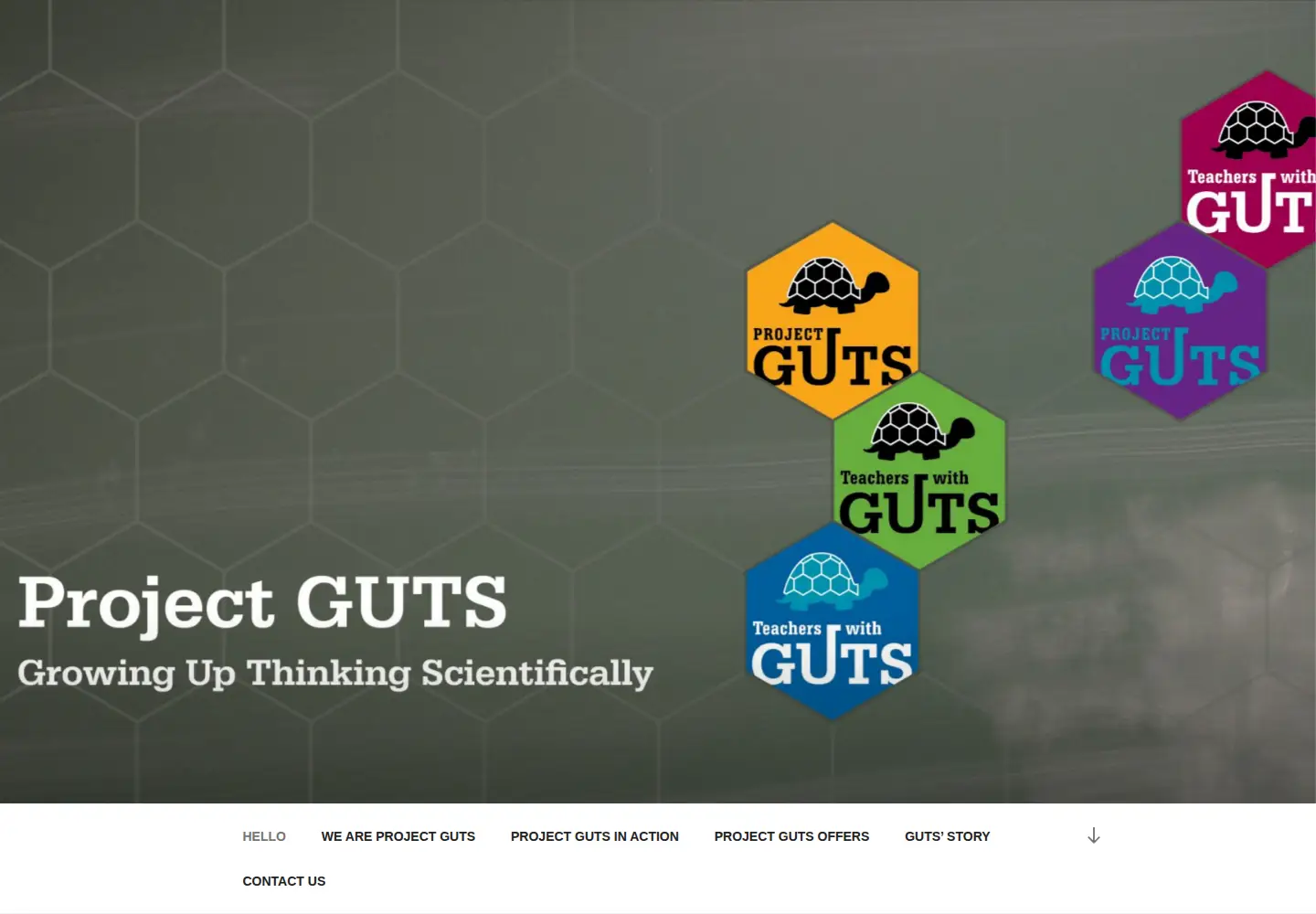 Captured homepage of projectguts.org in the current scan