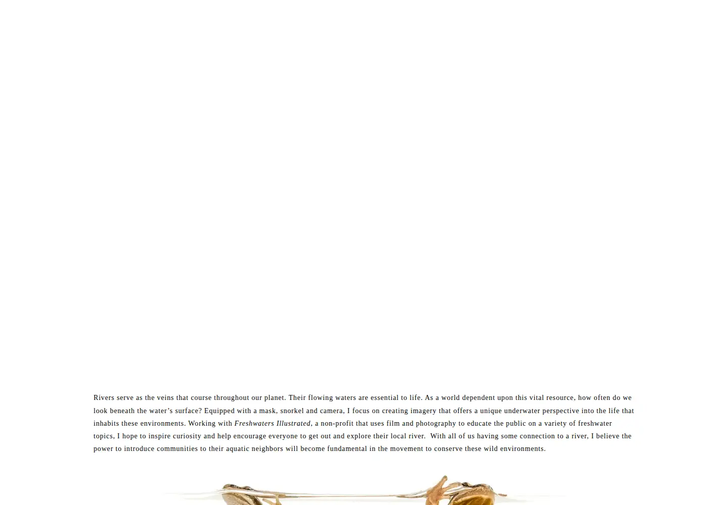 Captured homepage of davidherasimtschuk.com in the current scan