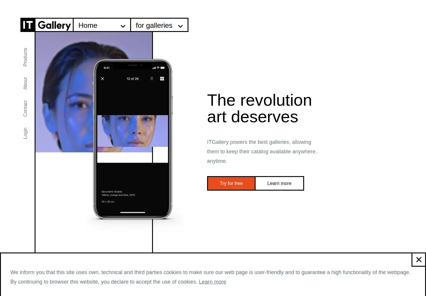 Screenshot of itgalleryapp.com