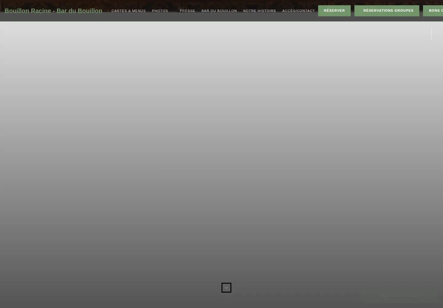 Captured homepage of bouillonracine.fr in the current scan
