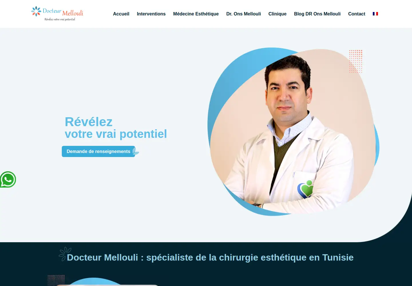 Captured homepage of docteur-mellouli.com in the current scan