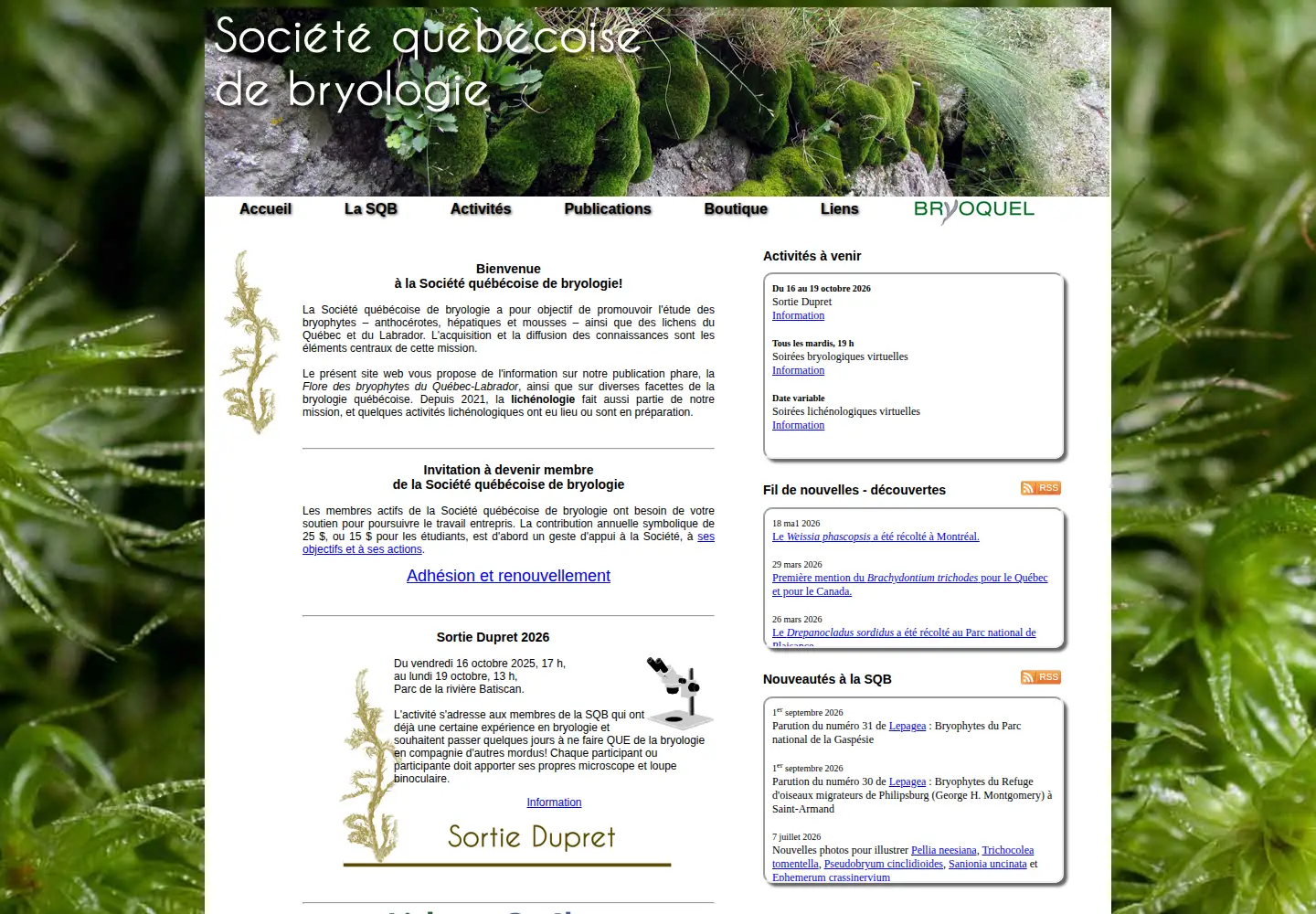 Captured homepage of societequebecoisedebryologie.org in the current scan
