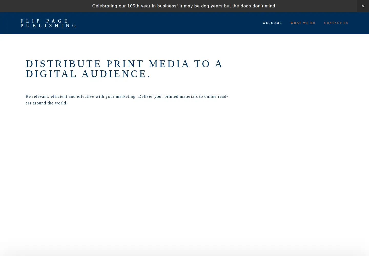 Screenshot of flippagepublishing.com