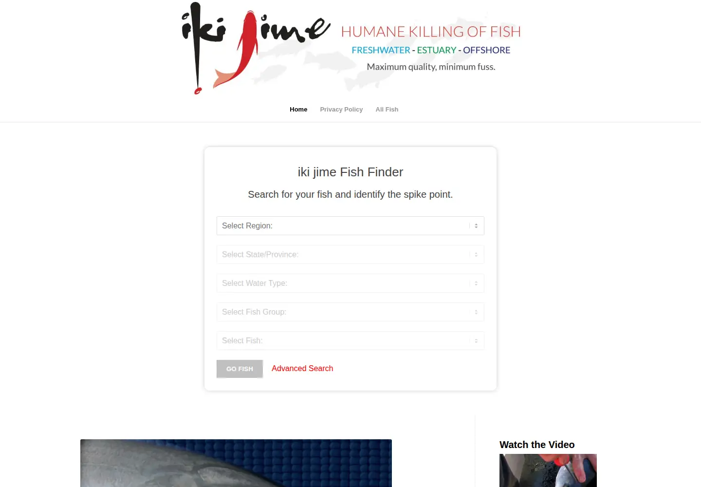 Captured homepage of ikijime.com in the current scan