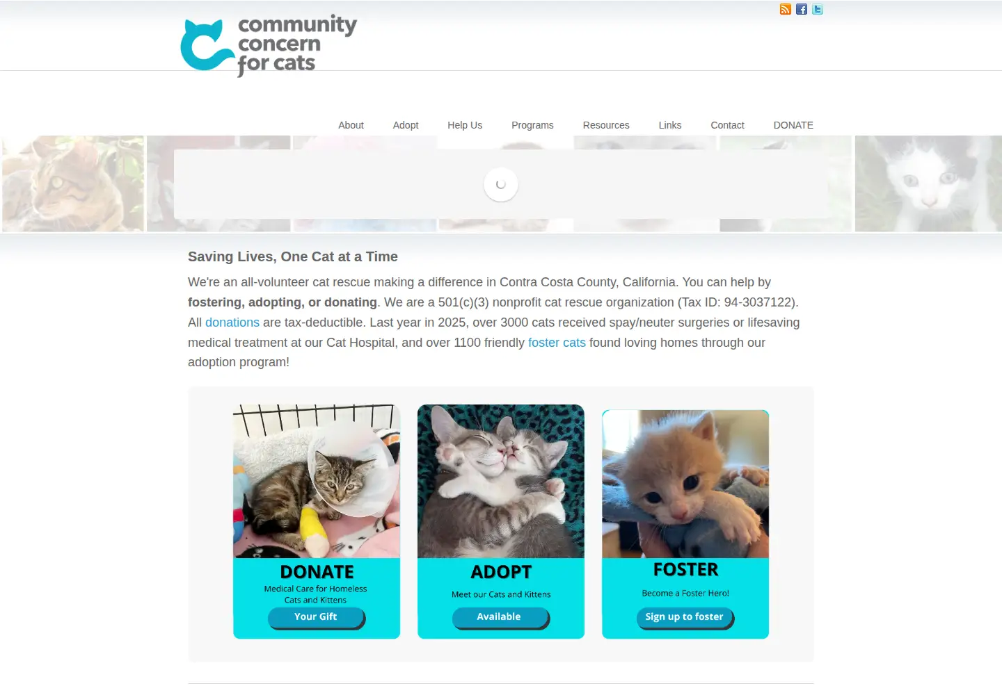Captured homepage of communityconcernforcats.org in the current scan