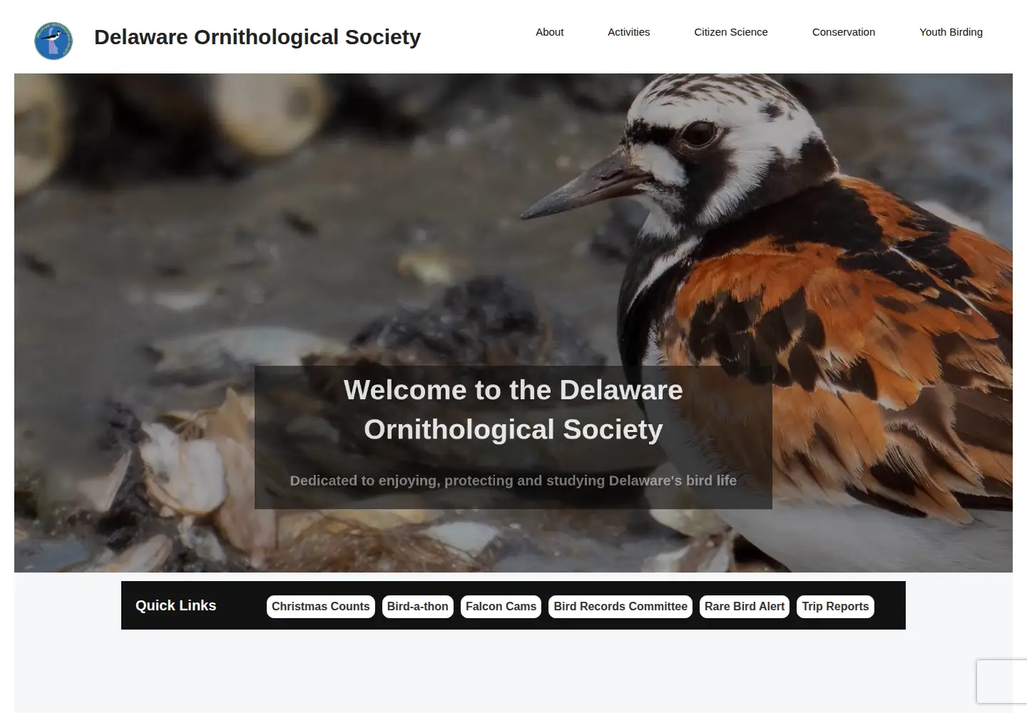 Captured homepage of dosbirds.org in the current scan