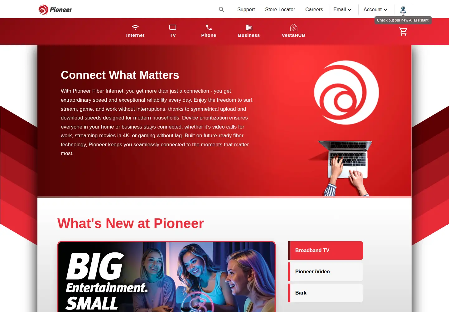 Captured homepage of gopioneer.com in the current scan