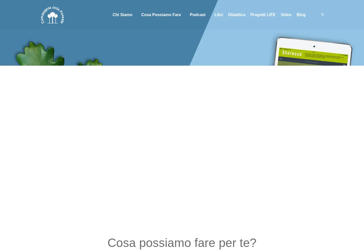 Screenshot of compagniadelleforeste.it
