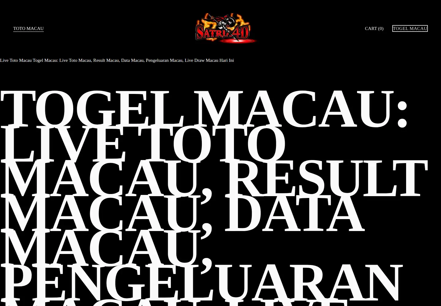 Screenshot of raoultrujilloinfo.com