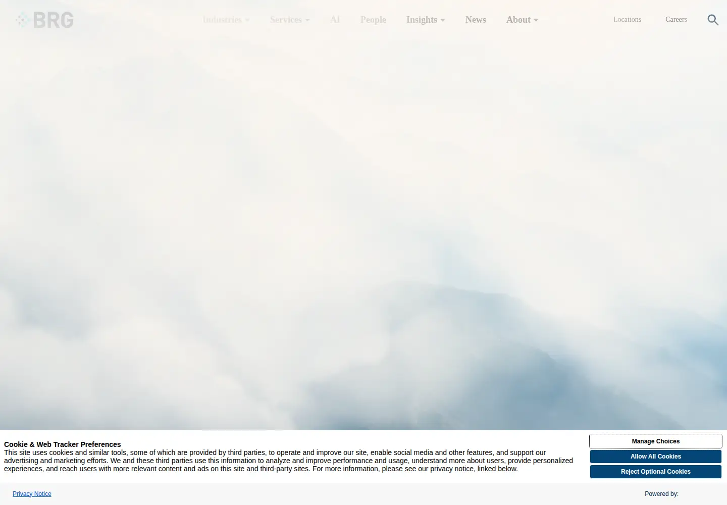 Screenshot of thinkbrg.com