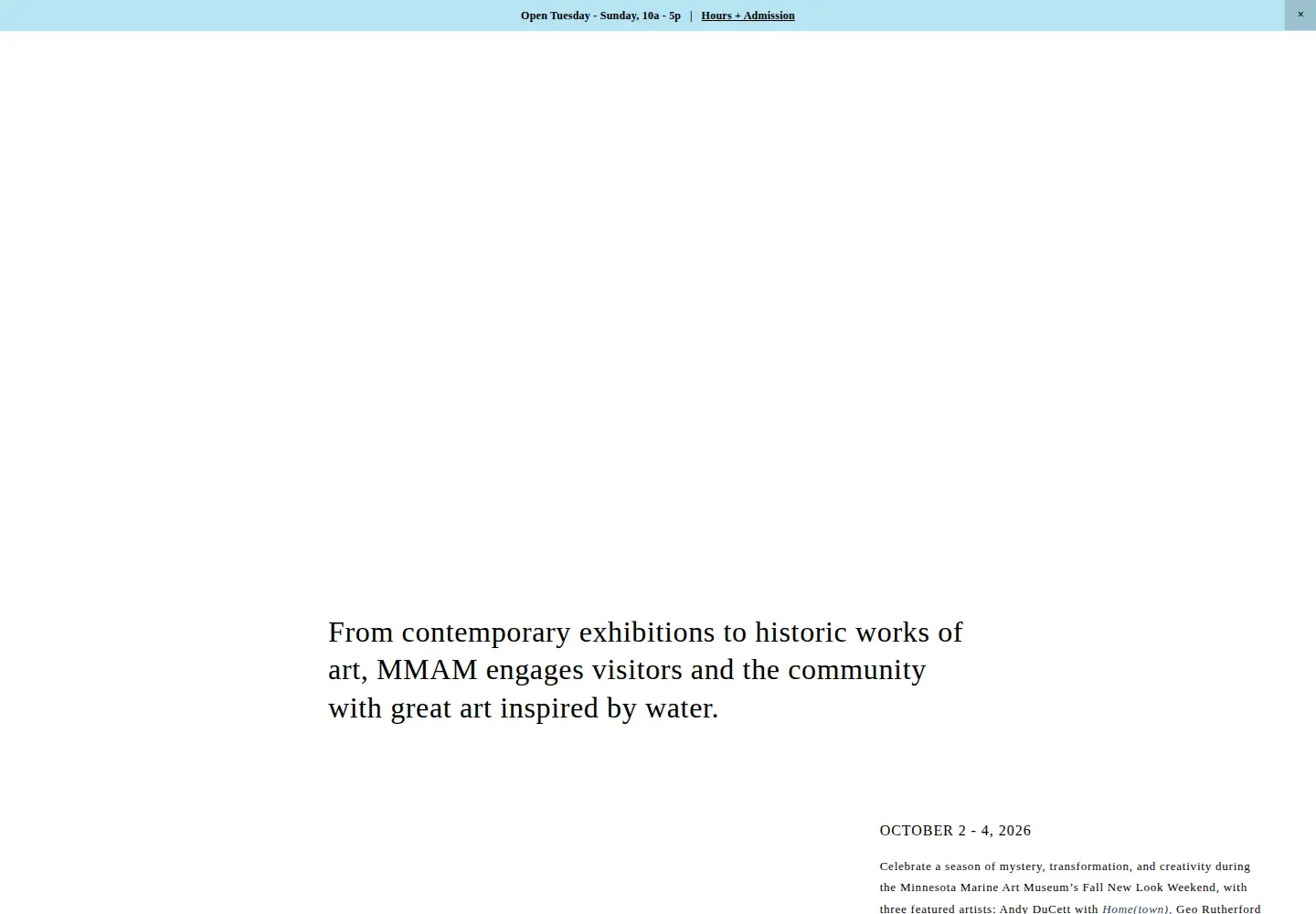 Screenshot of mmam.org