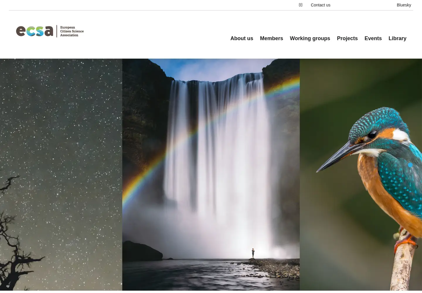 Screenshot of ecsa.ngo