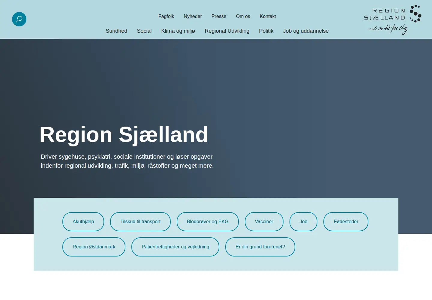 Screenshot of regionsjaelland.dk