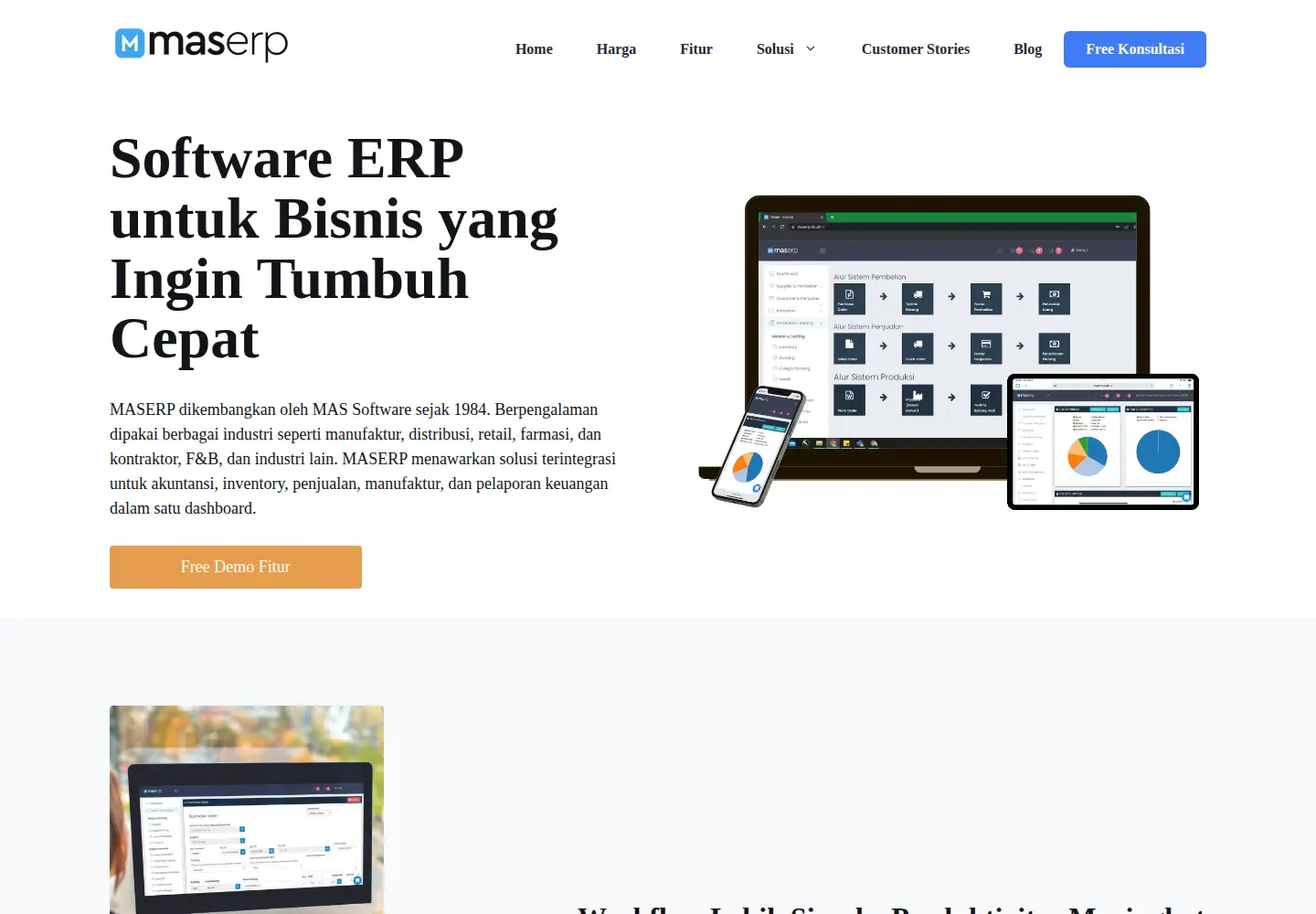 Screenshot of mas-software.com