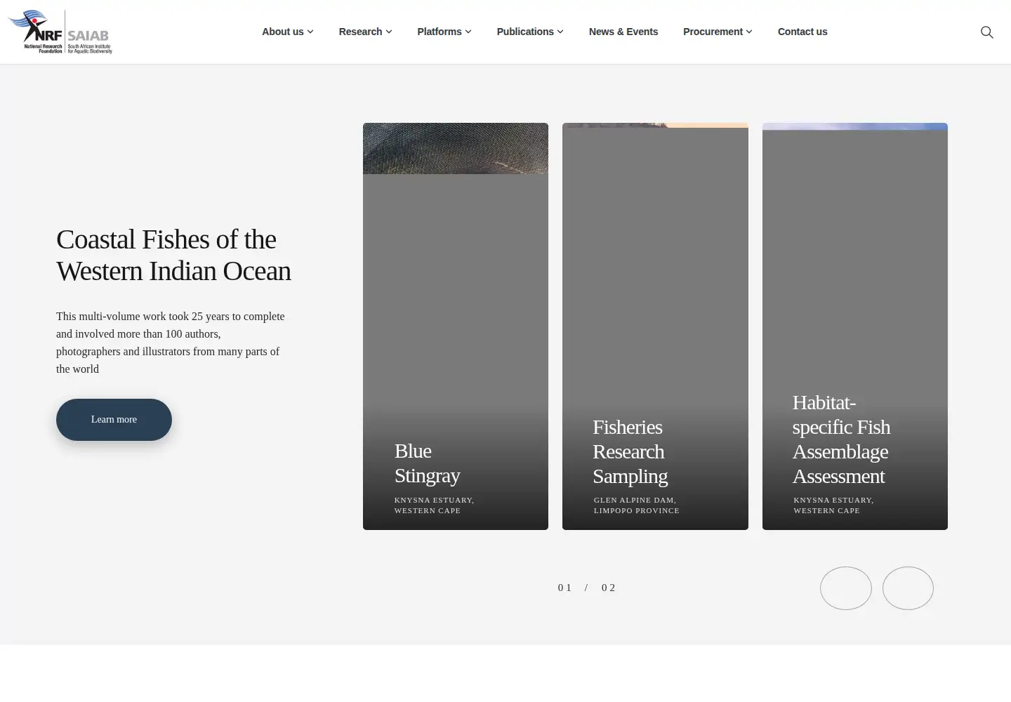 Screenshot of saiab.ac.za