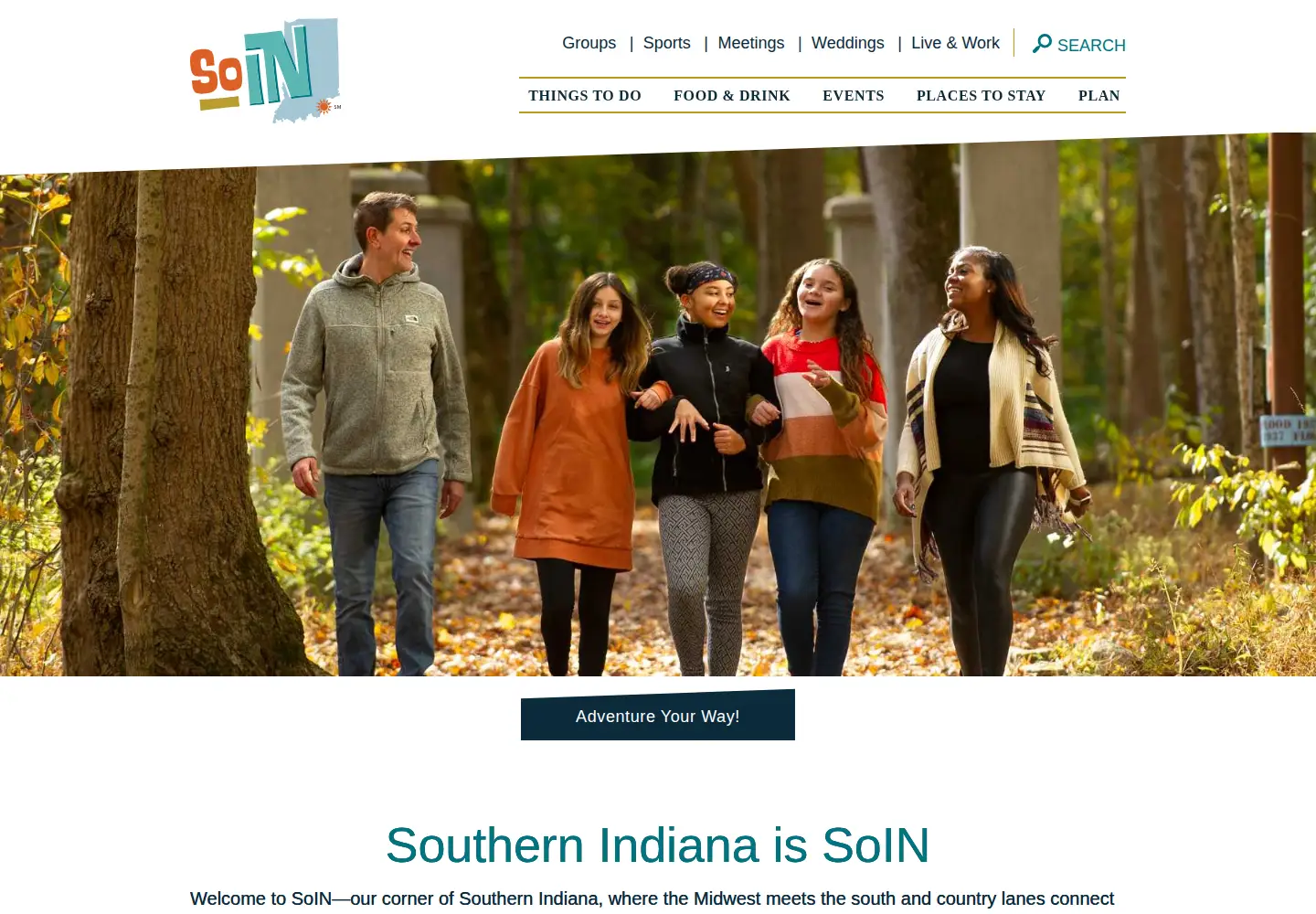 Screenshot of gosoin.com