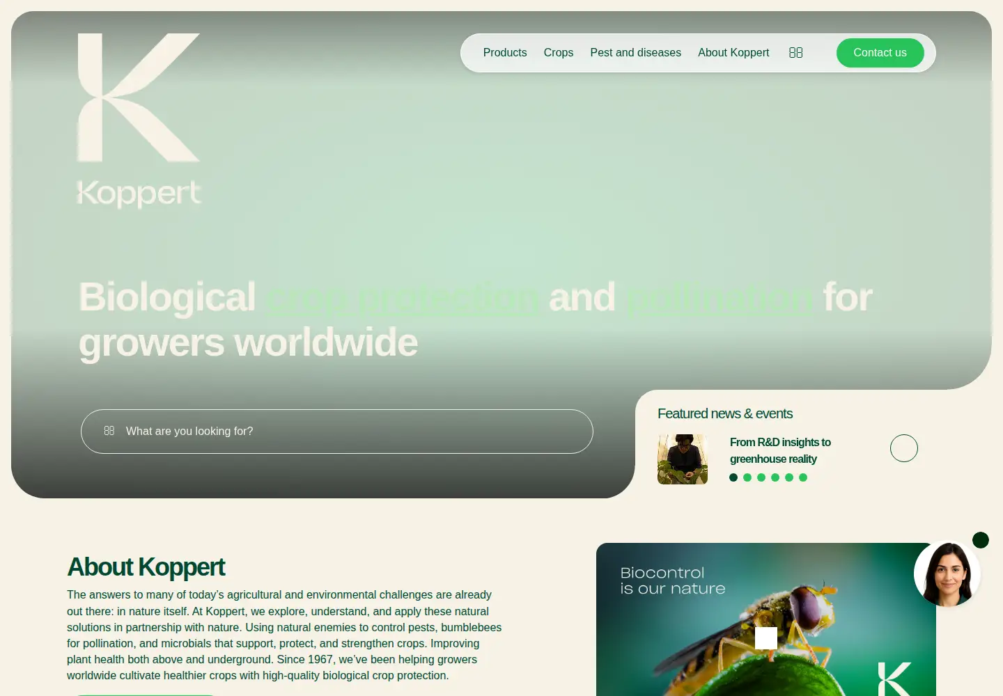Screenshot of koppert.com