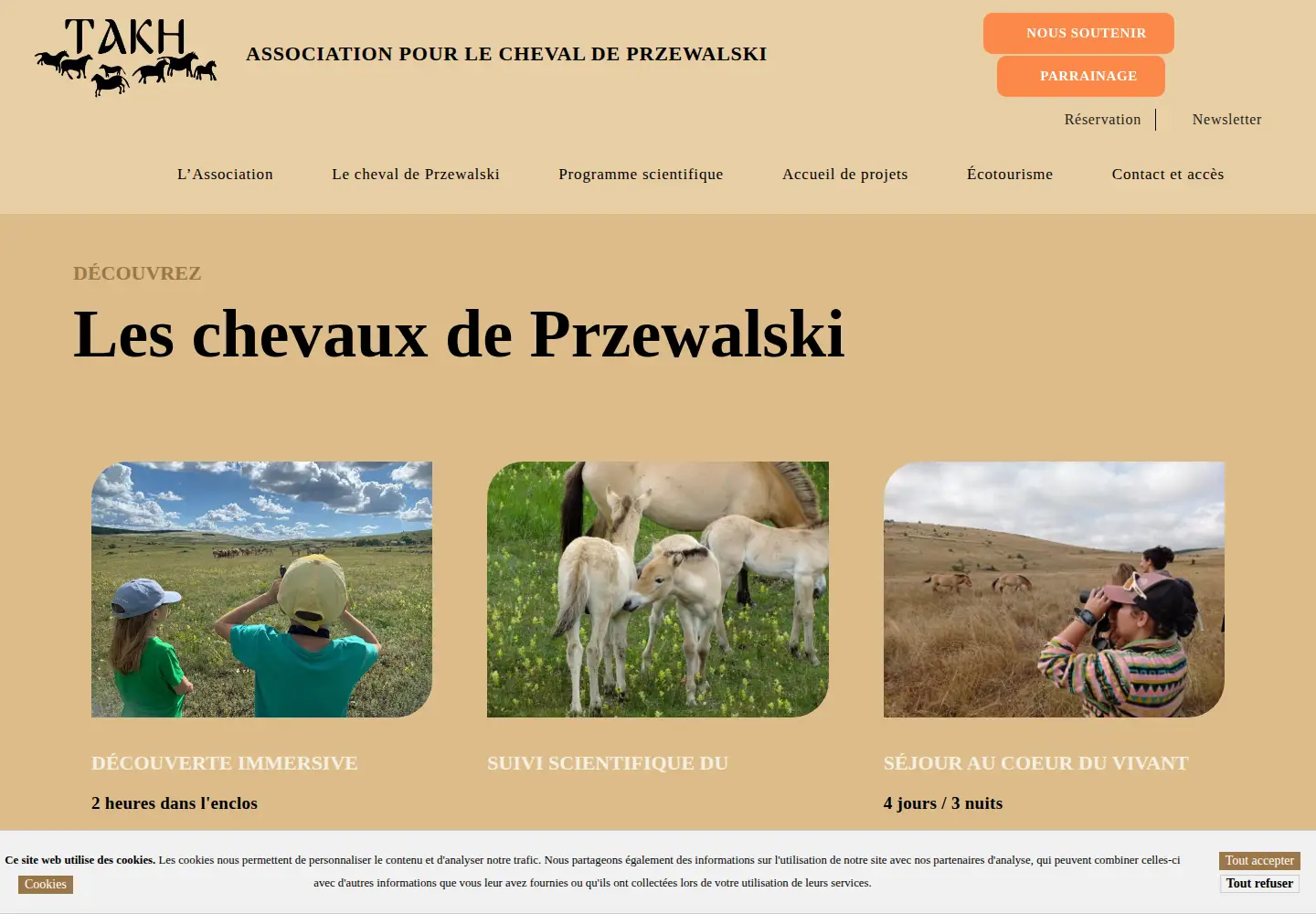 Captured homepage of takh.org in the current scan