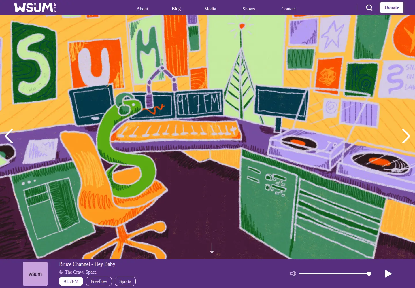 Captured homepage of wsum.org in the current scan
